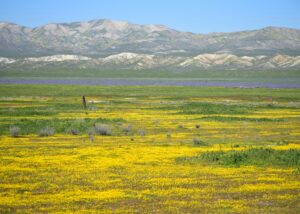 Santa Margarita, California